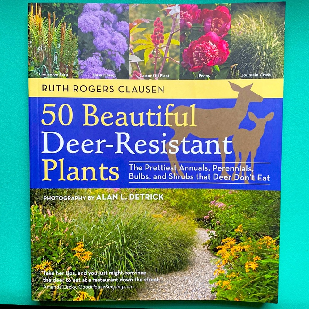 50 Beautiful Deer Resistant Plants